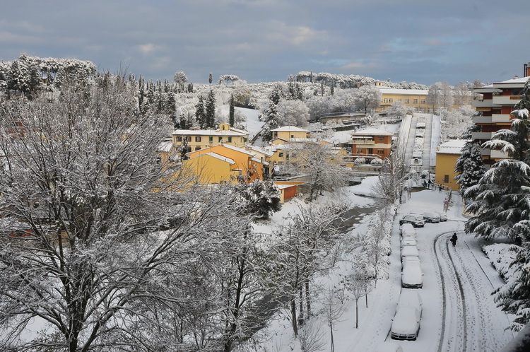 Sotto la neve....